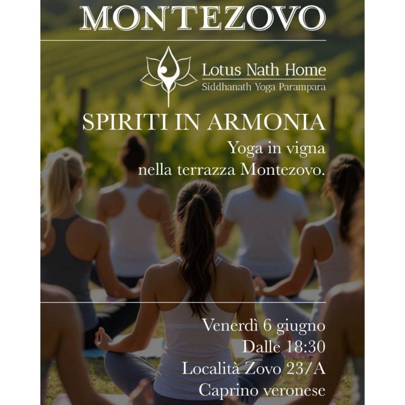 YOGA in vigna: Spiriti in Armonia